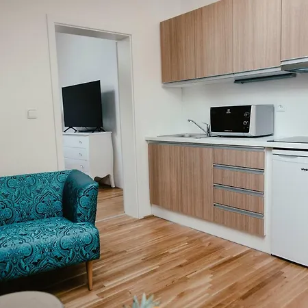 Luxury Zelny Trh 2 브르노